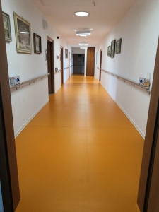 Domov se zvláštním režimem
